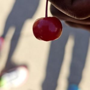 Meet your Posher, Timothy